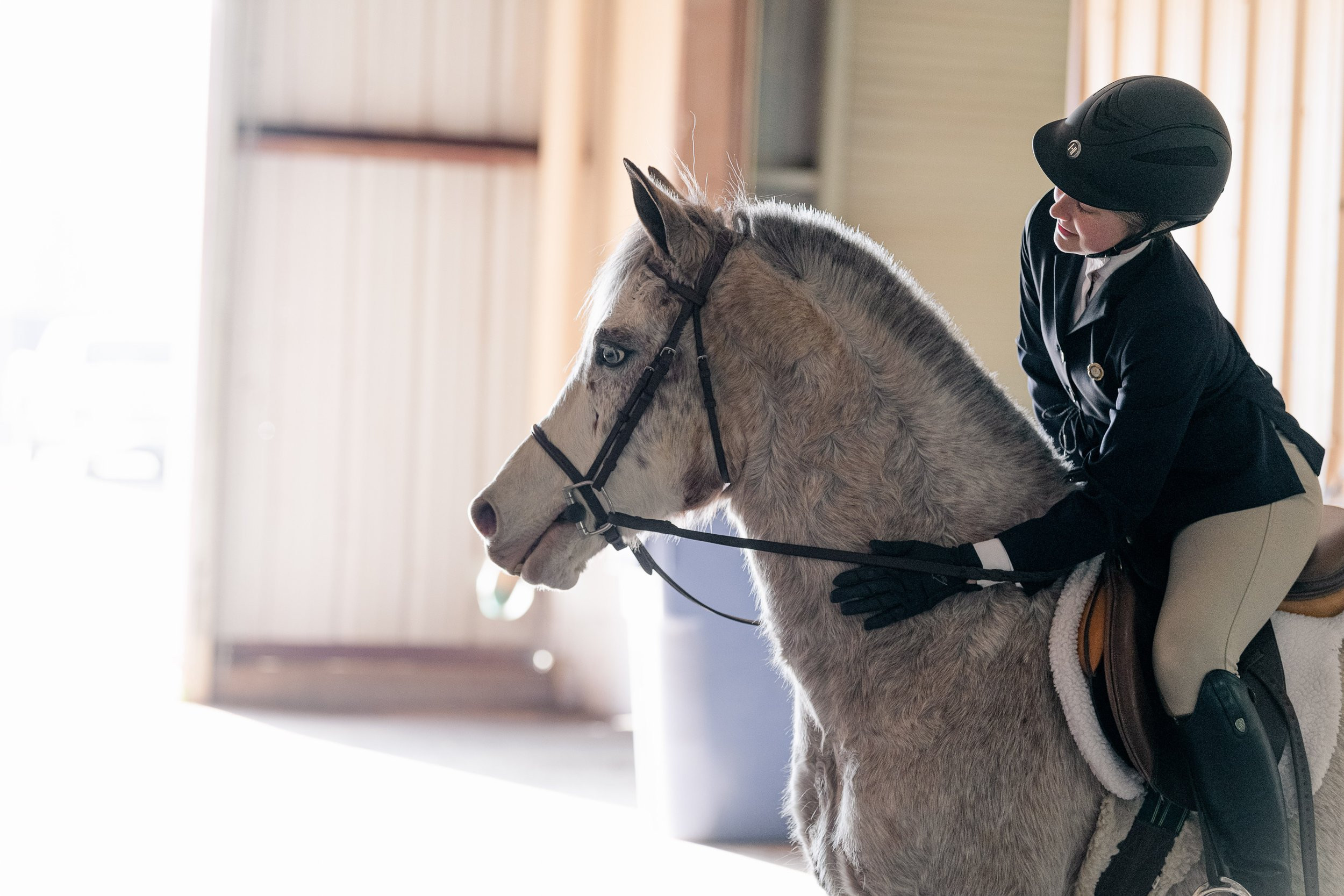 A candid shot of a horse show