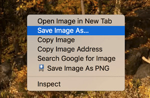 Save HEIC image as JPG from Google Photos