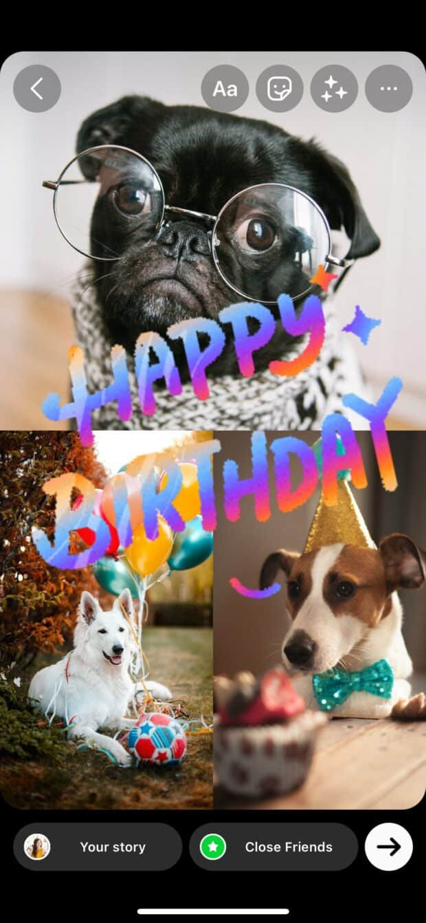 Happy birthday sticker on party pets in Instagram Story