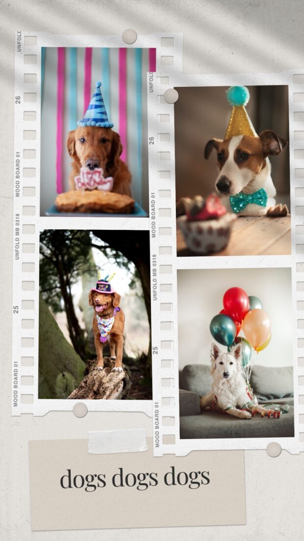 Creating new Instagram story and select collage image