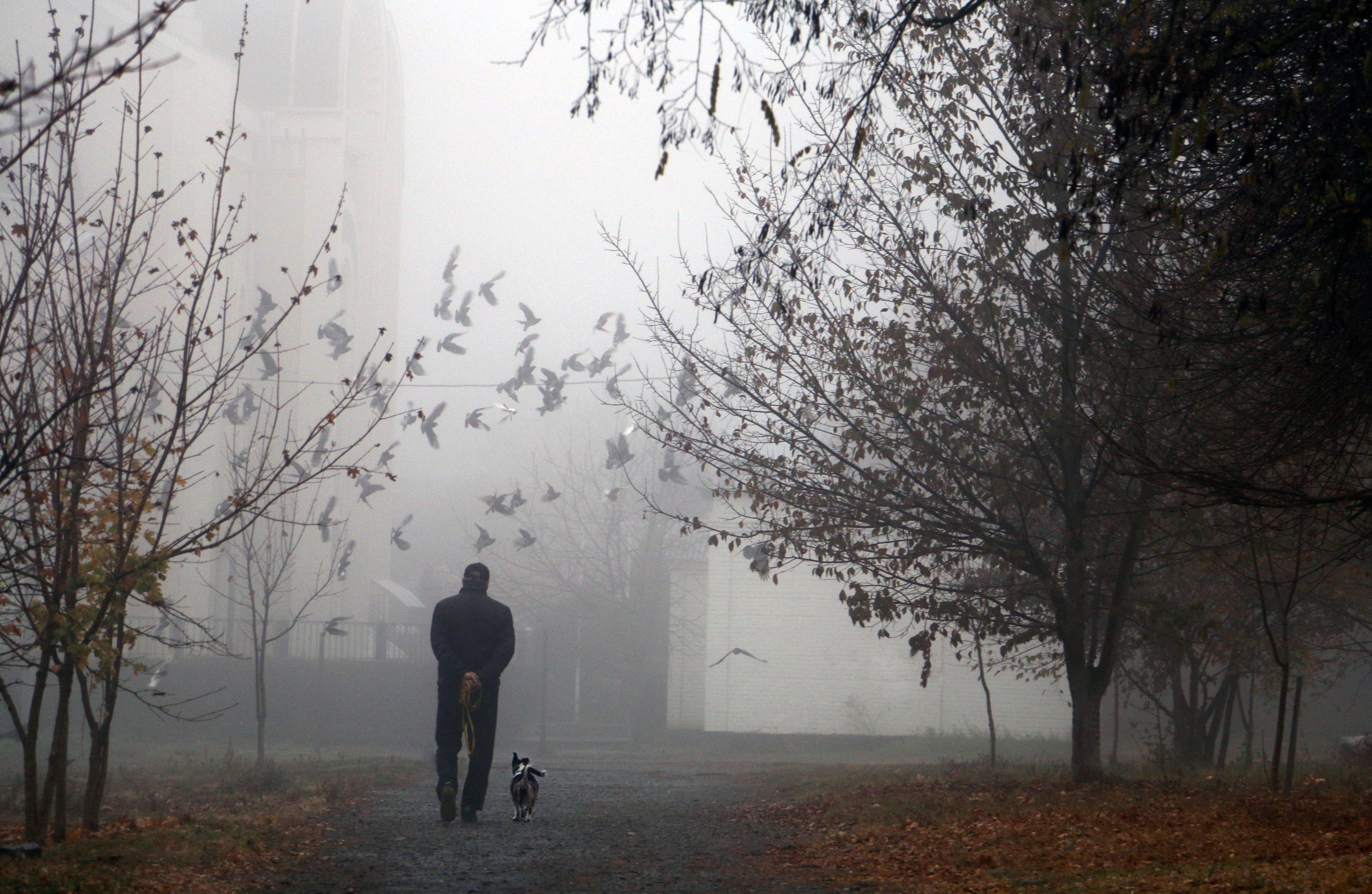 Manual Focus for Sharp Images in Fog