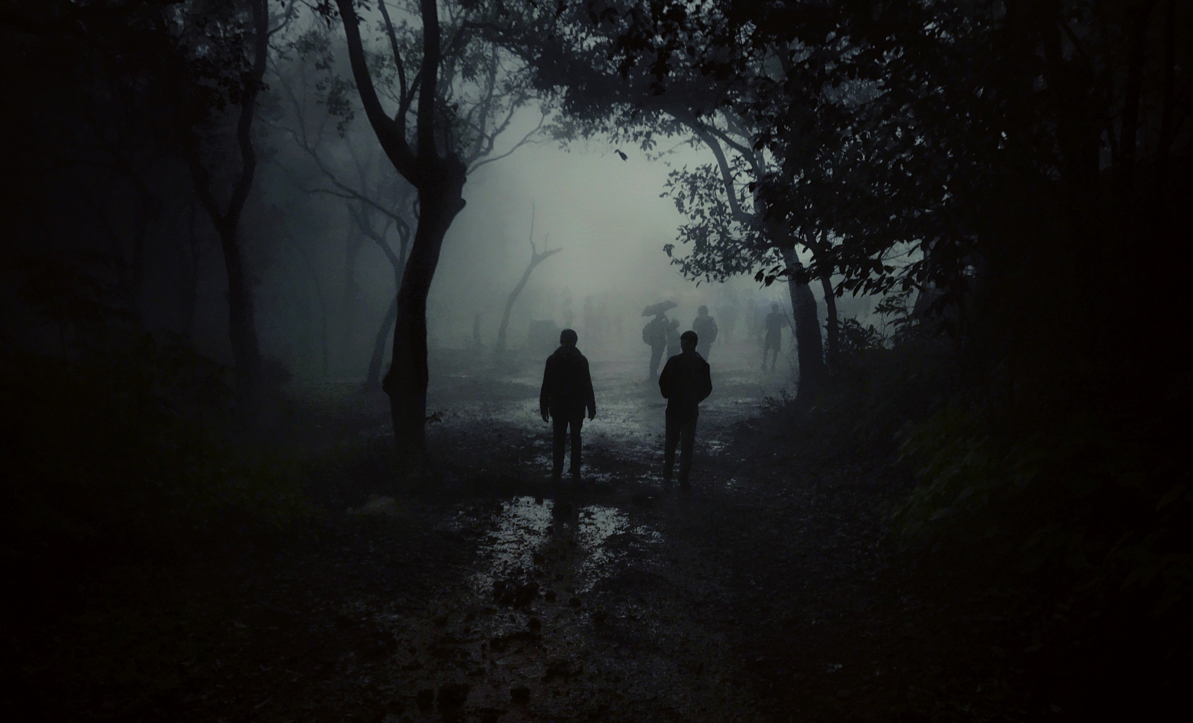 Shapes and Silhouettes in Fog