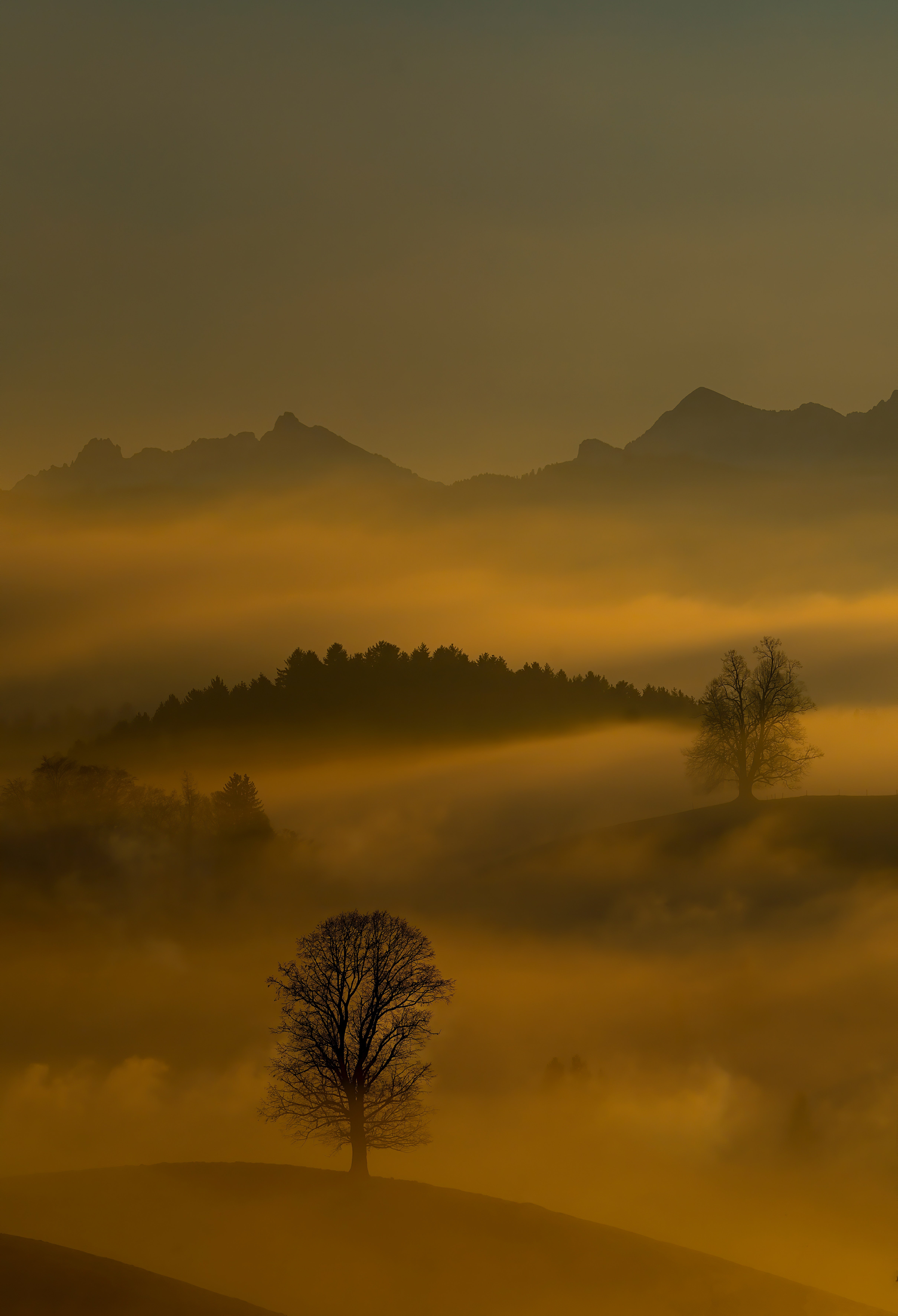 Fog Movement Shutter Speed