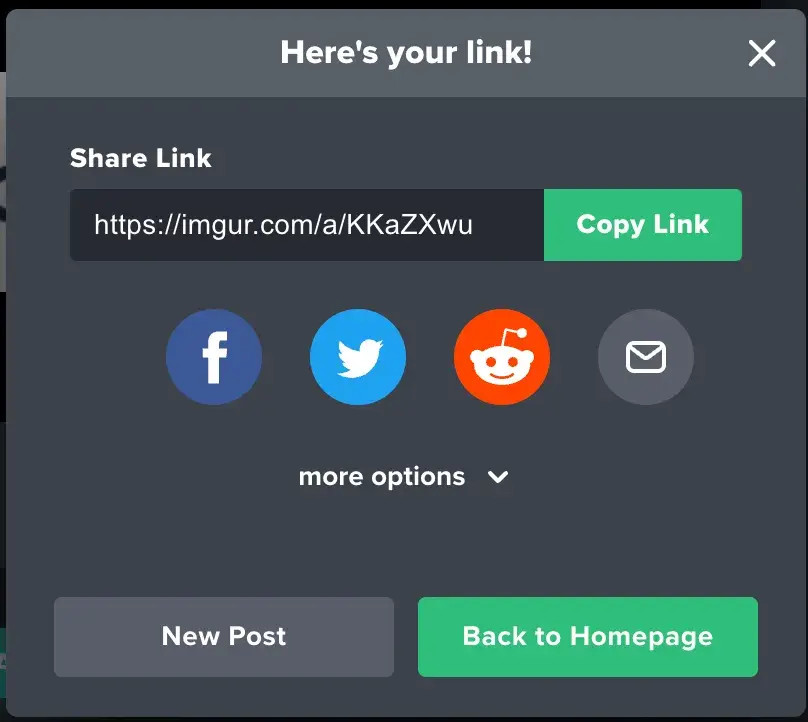 The share and copy link options in Imgur, providing various links for sharing the image on different platforms.
