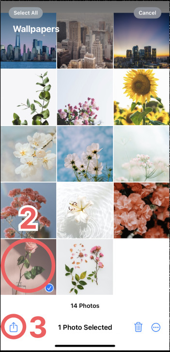 Save Photo to Files App (2,3)