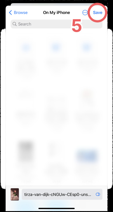 Save Photo to Files App (5)