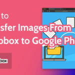 Dropbox to Google Photos transfer interface