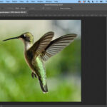 Open image in photoshop