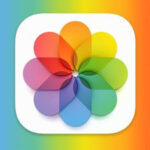 Live Photos selection in Albums
