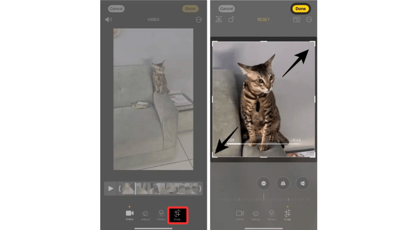 Selecting the Crop button to adjust the video's zoom and dimensions
