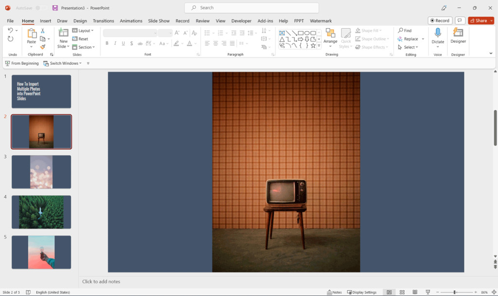 The concluding photo album presentation showcasing all images added as slides
