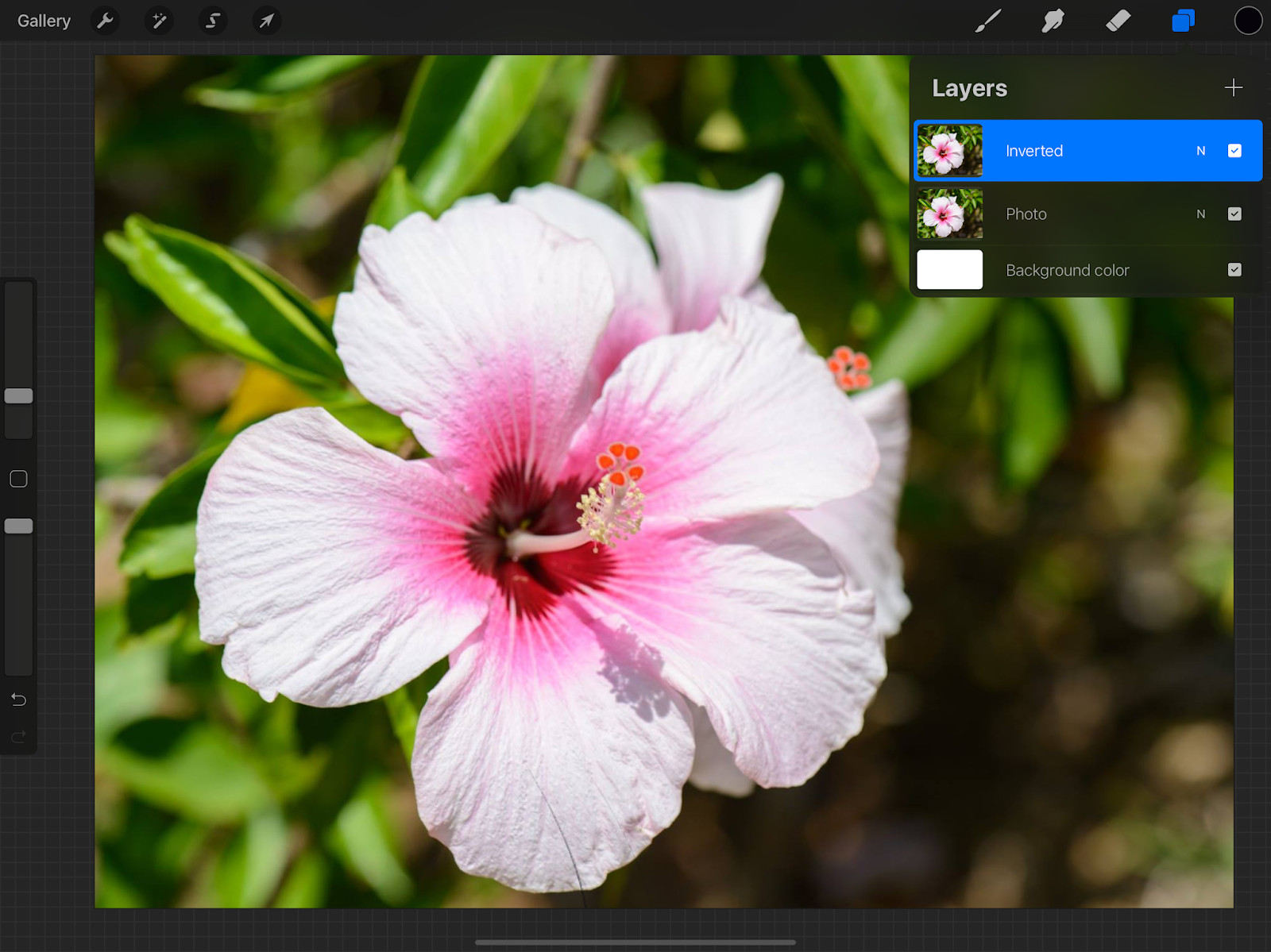 Duplicating the photo layer in Procreate to create a working copy for adjustments.