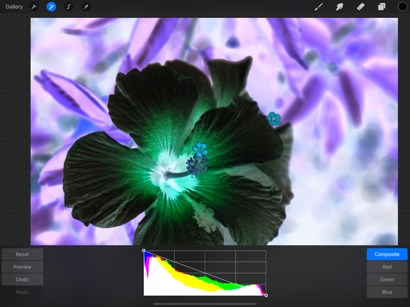 Inverting the colors of the duplicated layer using the Curves adjustment in Procreate.