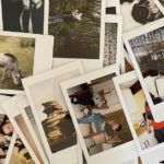 Analogue Wonderland| Everything You Need to Know About Fujifilm Instax Films, a slection of instax mini photos