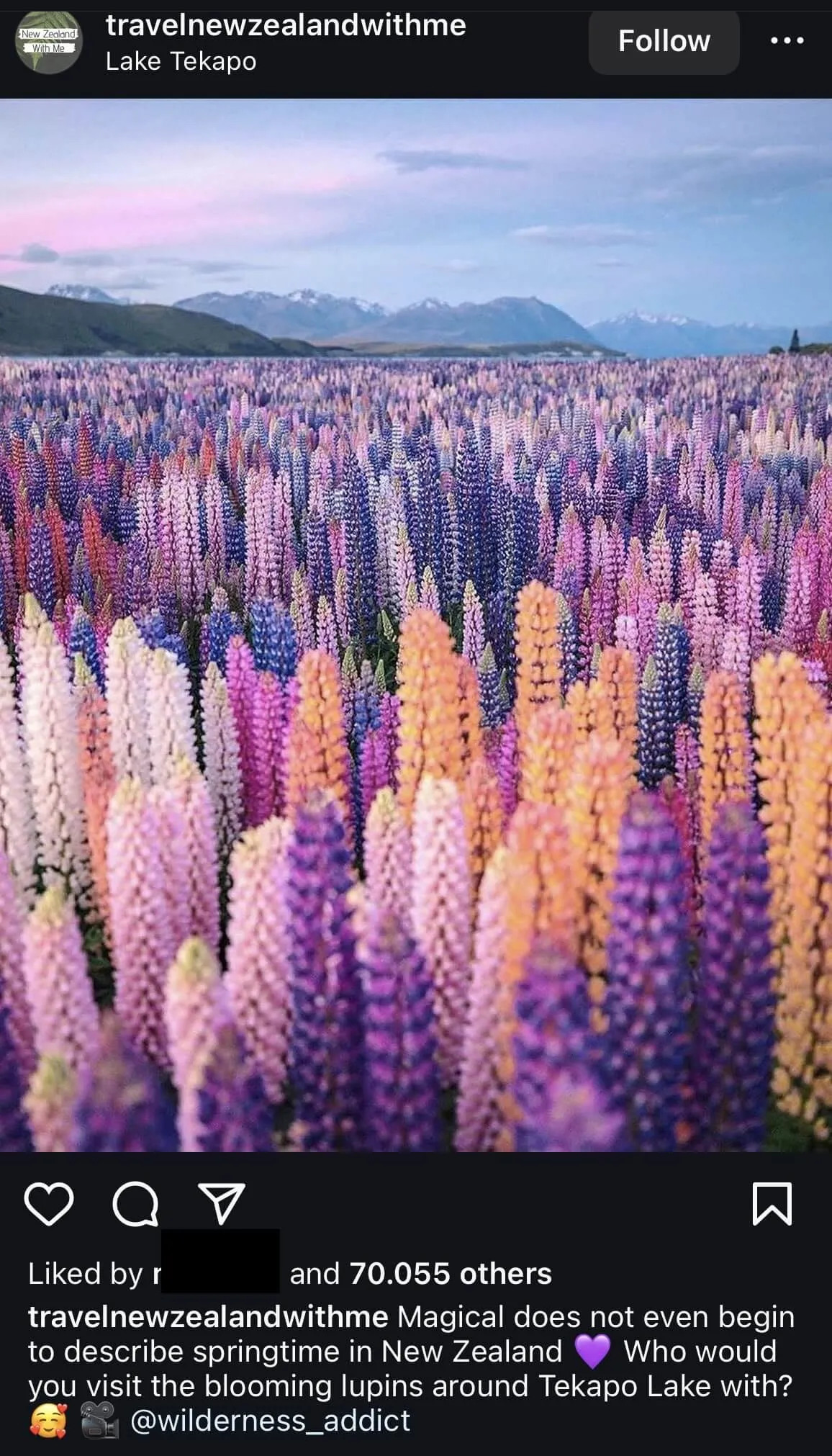 spring-inspired-instagram-caption-example