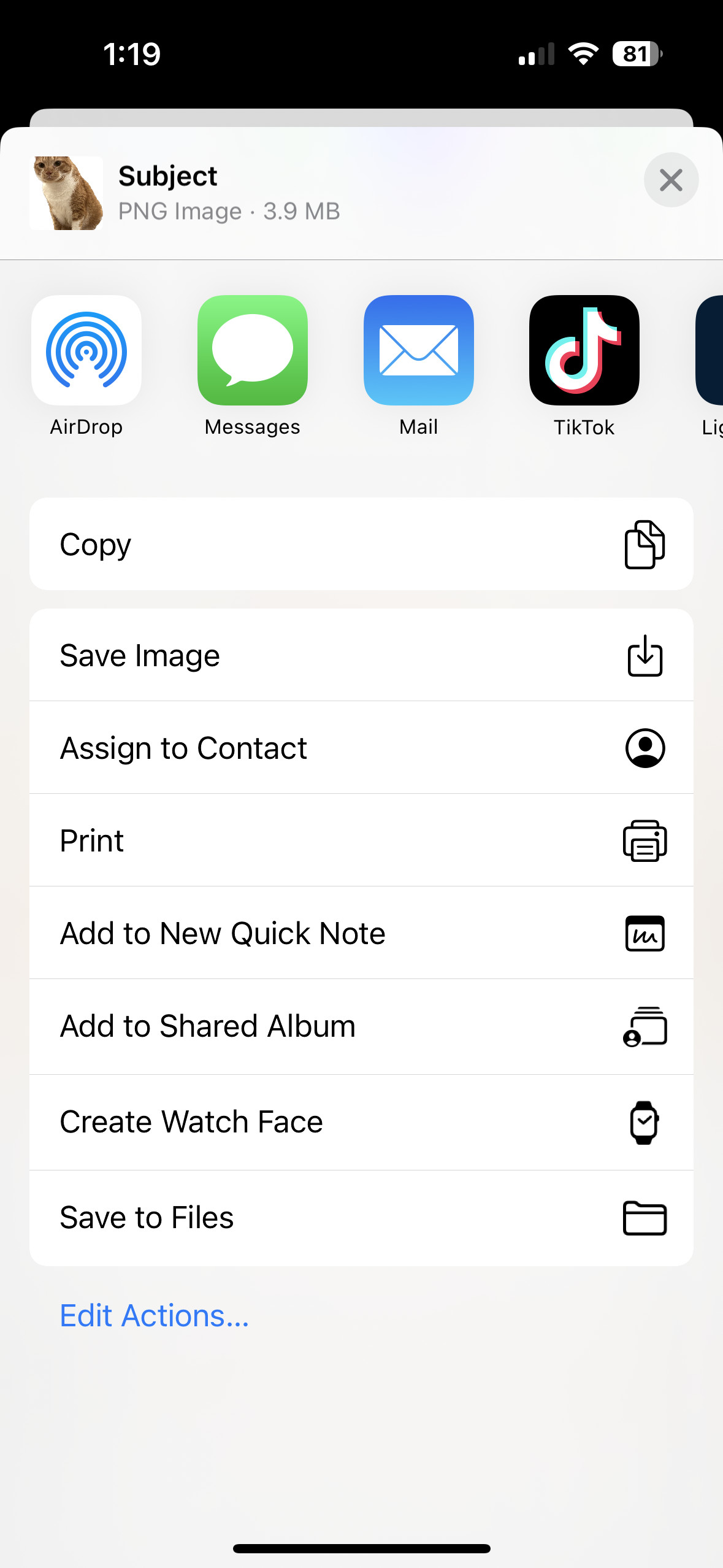 iPhone screen showing options to copy or share a cutout of a cat, demonstrating easy sharing after using iPhone's Visual Look Up feature for photo editing.