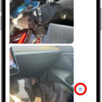 iMessage Privacy Settings on iPhone