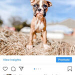 Instagram edit options showing how to tap the three dots to edit