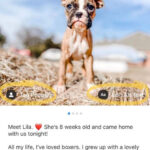Screenshot of editing options on an Instagram post, highlighting location, tags, and alt text options.