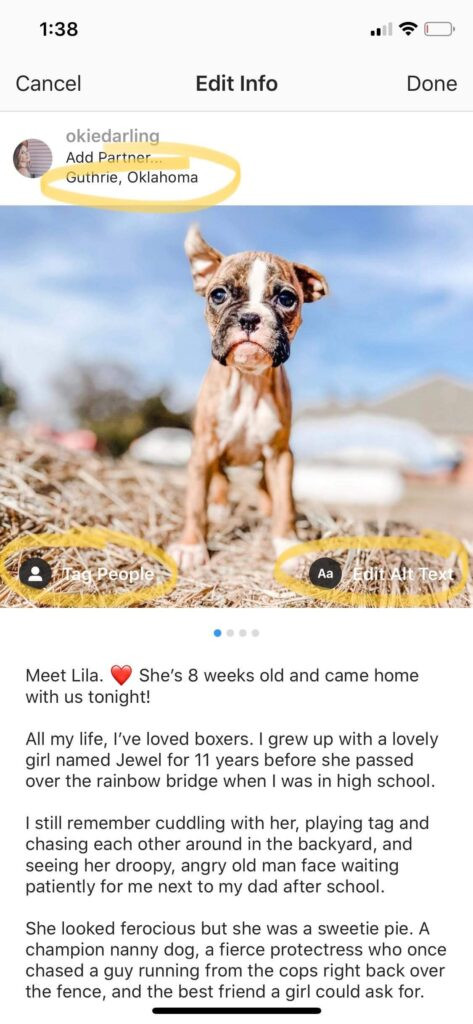 Instagram edit page with options to edit location, tags, alt text and caption highlighted