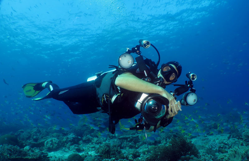 Image of a diver with underwater camera, focusing closely on marine life
