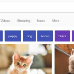 Access the 'Tools' option on Google Images to refine your search and find non-copyrighted photos effectively.