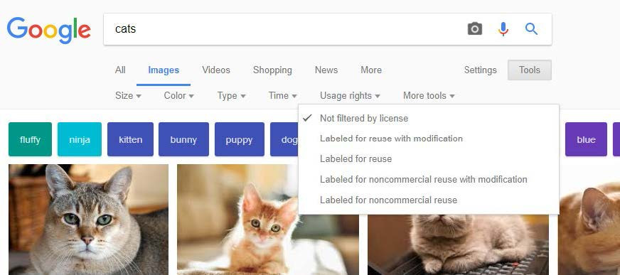 Select a license type under 'Usage Rights' in Google Images to find photos that match your usage needs, such as 'Labeled for reuse.'