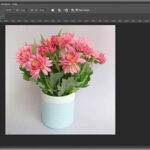 Select all of the image