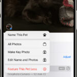 Identifying faces of pets in iOS Photos app