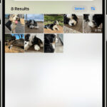 iPhone Photos App Interface