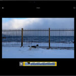 iPad showing a video in edit mode with trim sliders, perfect for learning how to edit a video in photos.