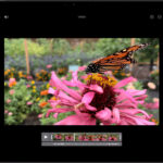 iPad showing a video in edit mode with vertical white lines indicating slow motion