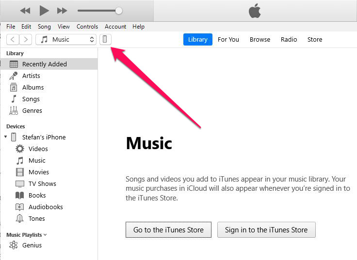 iTunes Interface for iPhone Selection