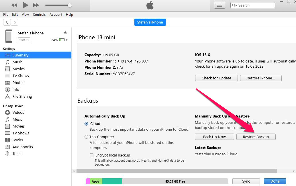 iTunes Backup Restore Interface