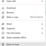 Manual deletion of duplicate files