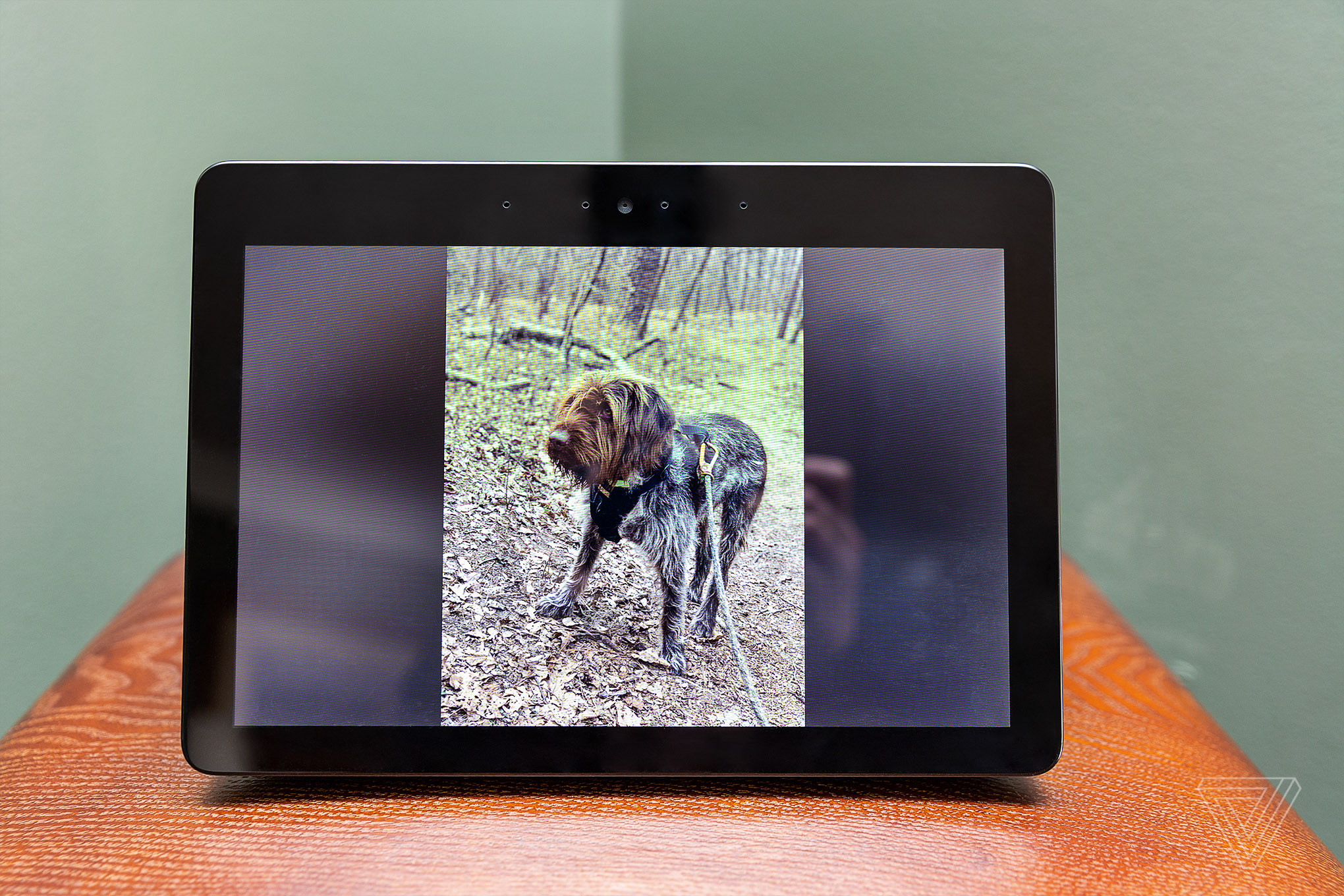 You can display your personal photos on any Echo Show.