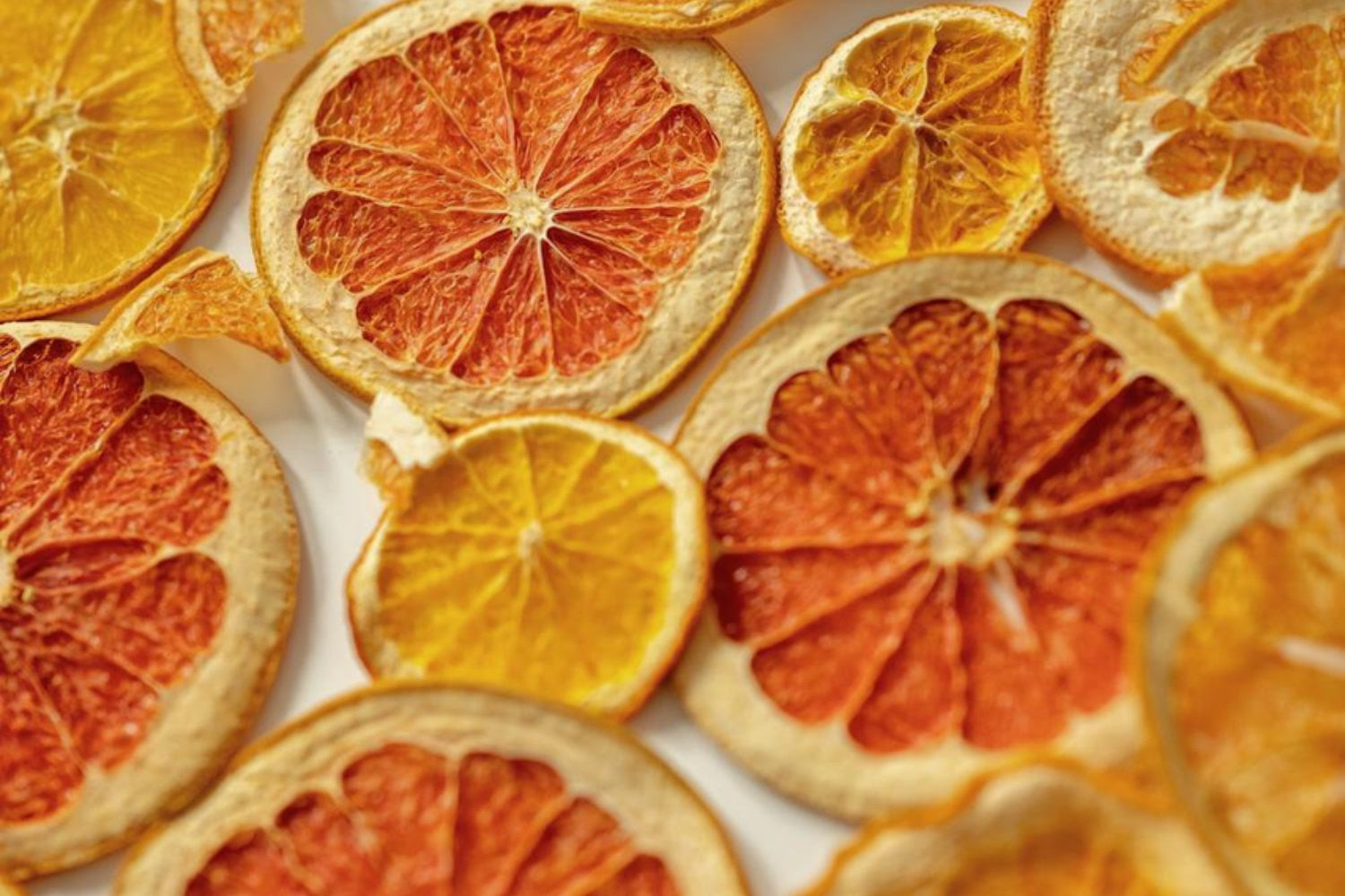 Citrus Backdrop