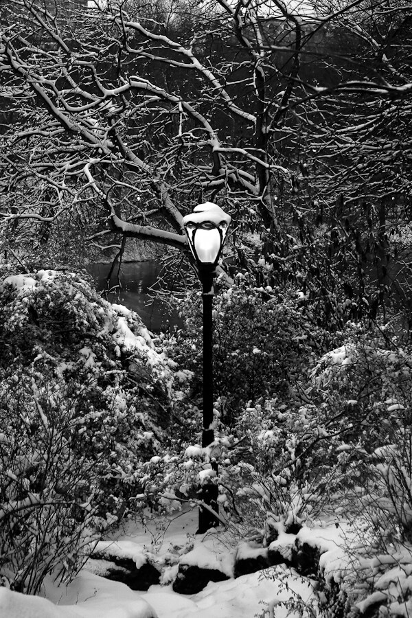 Image of a lamppost in Central Park at dusk during a snowstorm
