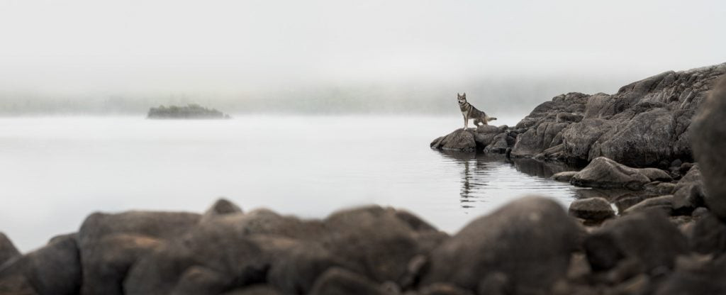 Panorama shot of a Loch.