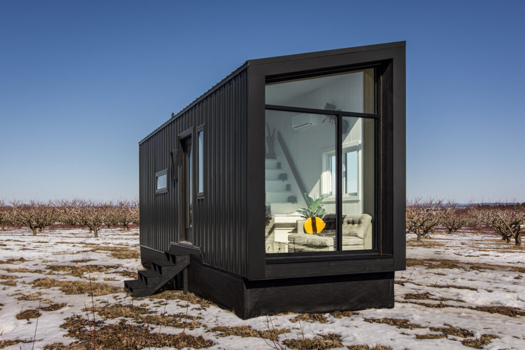 Living Area of a Tiny Home with Stylish Décor