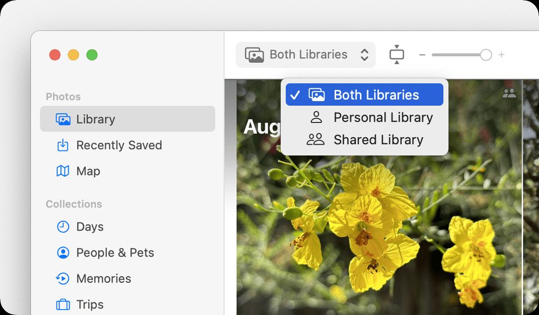 Selecting different library views on macOS, including Personal, Shared, and Both Libraries, within the Photos app.
