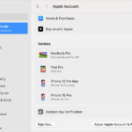 Sign Out Button in Apple Account Settings on macOS