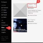 MySpace logo on a smartphone screen