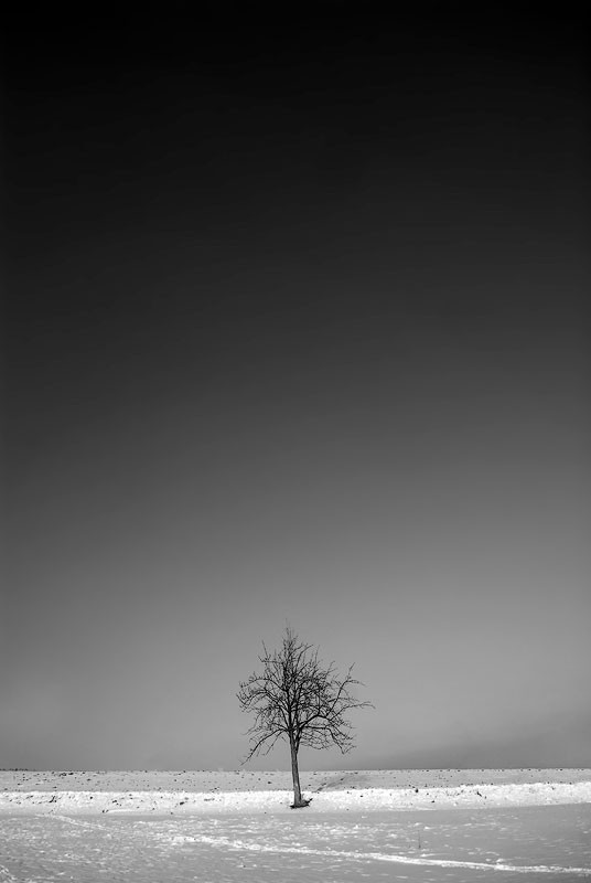 negative space composition