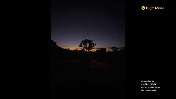 Photo of night mode shot on iPhone.