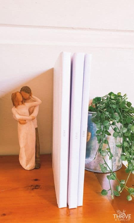 Once Upon Photo Books on Shelf with 2023, 2022, 2021 Next to a Plant