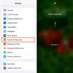 iPhone lock screen passcode setup
