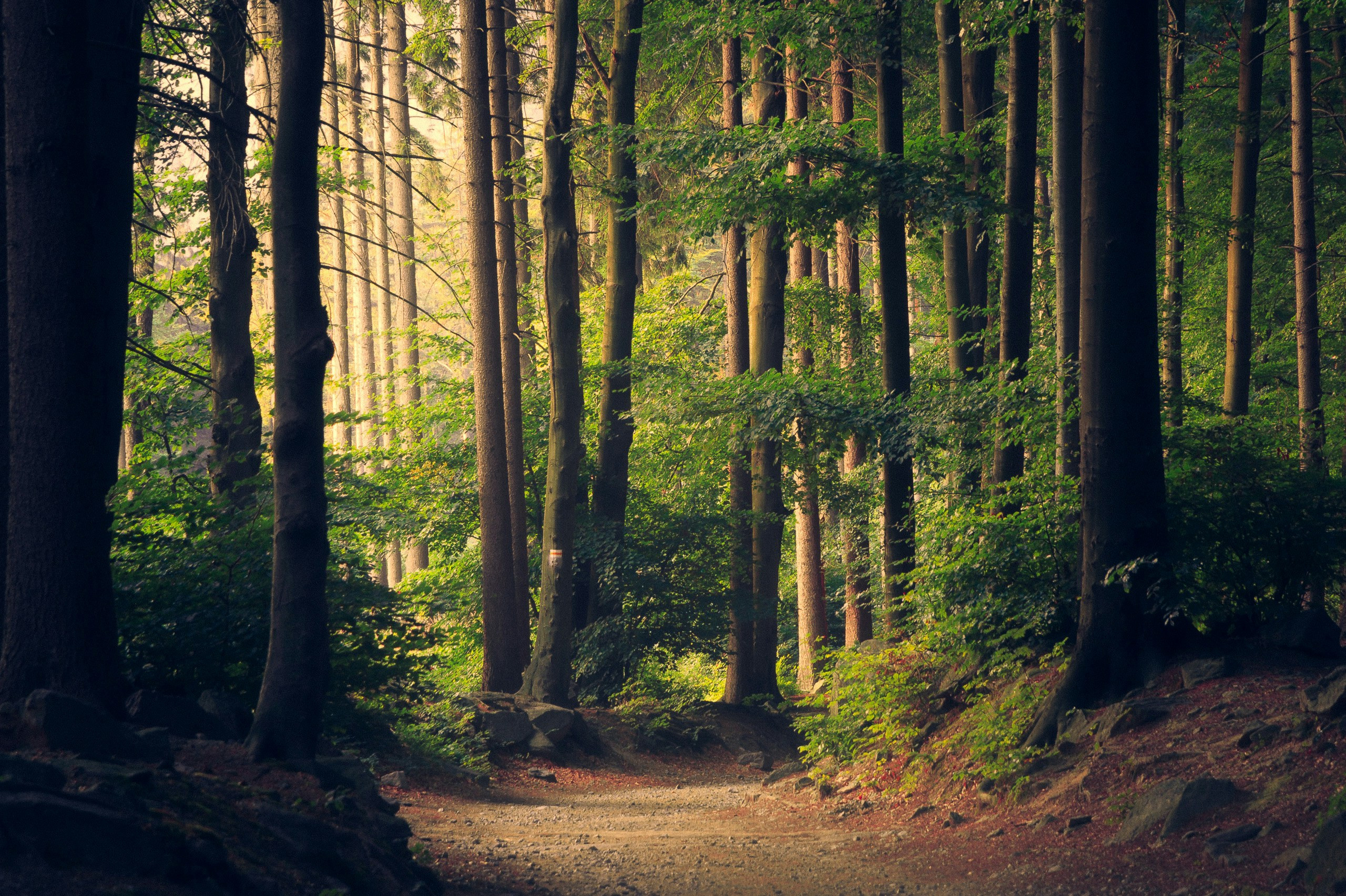 A landscape image blended seamlessly using gradient masks, demonstrating how gradients can create smooth transitions between photos.