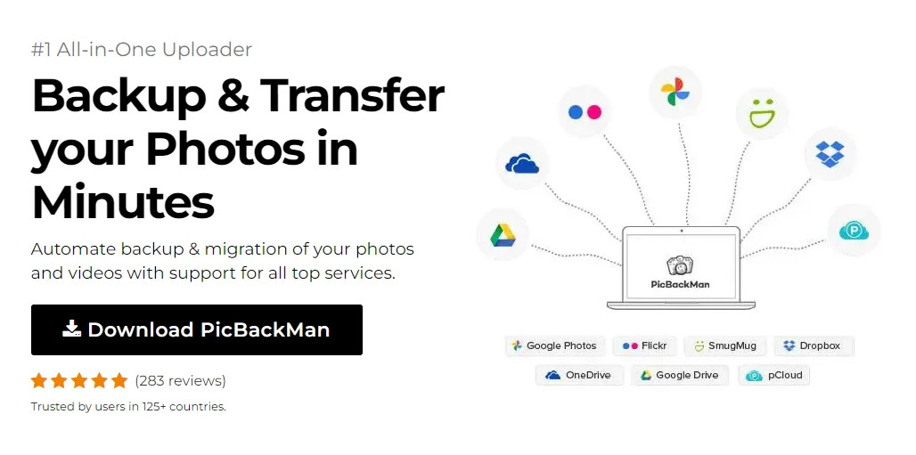PicBackMan Interface