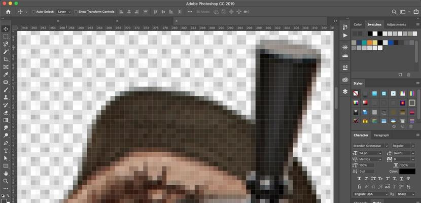 Close-up of a pixelated image in Adobe Photoshop, showing toolbar and grid view.